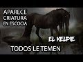 El Kelpie La Bestia Del Lago Mitología Escocesa