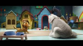 Psi Patrol Film - klip z filmu