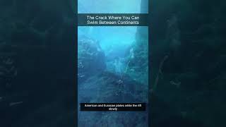The Crack Where You Can Swim Between Continents