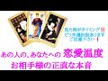 🌹恋愛タロット占い🌹ちょい辛口選択肢あります🌶️近づきたい？避けたい？離れたい？あの人のあなたへの恋愛温度と正直な本音 片思い カップル 曖昧複雑 復縁 年の差etc..