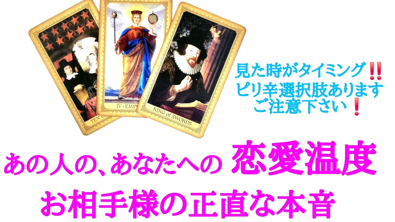 🌹恋愛タロット占い🌹ちょい辛口選択肢あります🌶️近づきたい？避けたい？離れたい？あの人のあなたへの恋愛温度と正直な本音 片思い カップル 曖昧複雑 復縁 年の差etc..