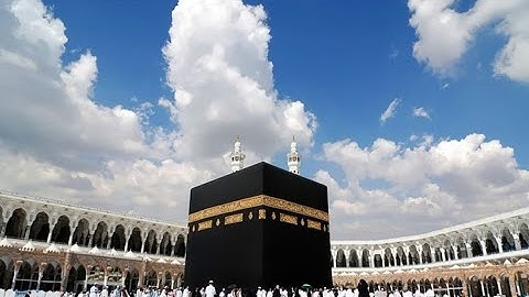 ما تيسر من سورة غافر - القارئ ابو بكر الشاطري