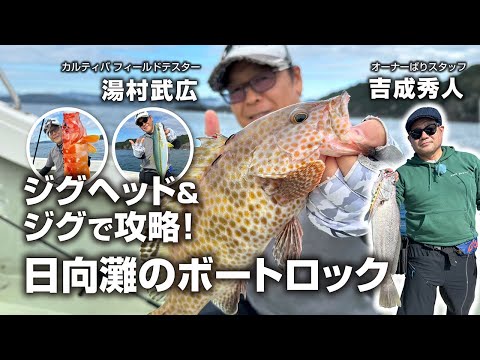 ジグヘッド＆ジグで攻略！日向灘のボートロック - YouTube