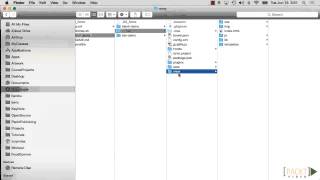 Beginning Ionic Hybrid Application Development: The Ionic App Structure | packtpub.com