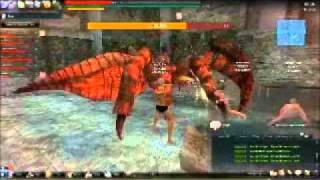 Vindictus Hidden with Fists