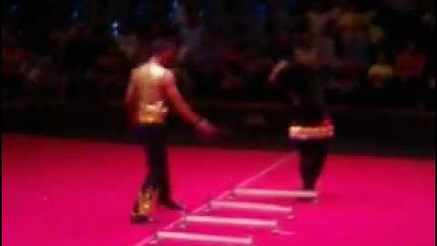 Xiếc Gấu - Xiếc Việt Nam