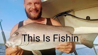 Moreton Bay Session Turns Up Some Nice Fish Ep 144