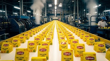 Inside a Modern Tea Factory: How Fresh Tea Leaves Become Premium Tea (Complete Process)