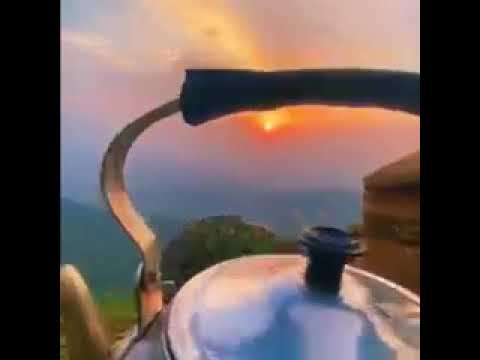 صباح الخير حبايب قلبي فديتكم اجمل صباح معه منضر شروق الشمس وصوت الطيور