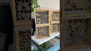 Quatre Boîtes, Des Dizaines De Tubes Bouchés