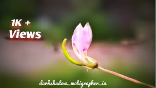 How to edit flowers background in Snapseed ||  best natural photo editing app Android || #snapseed screenshot 4