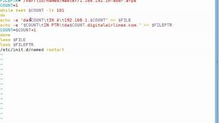LINUX: DNS-SCRIPT