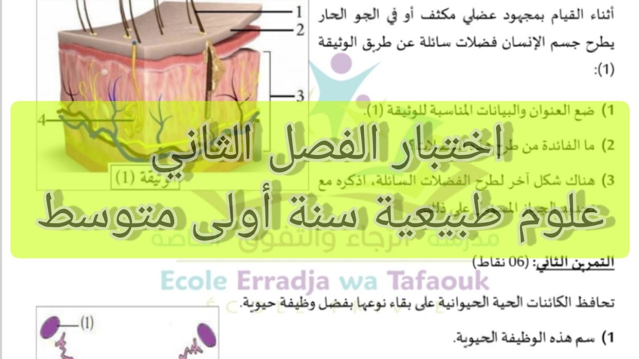 اختبارات الفصل الثاني علوم طبيعية سنة أولى متوسط