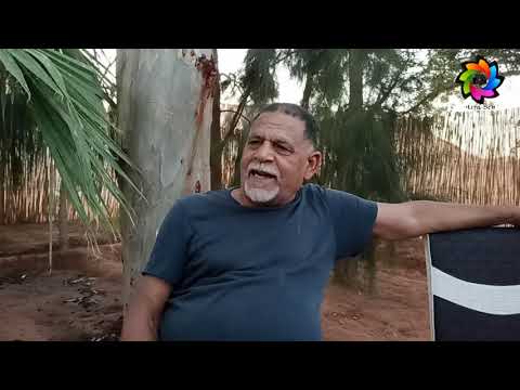 أعلام في ذاكرة وادي ريغ مع الباحث في تاريخ وادي ريغ ناصر لزهر