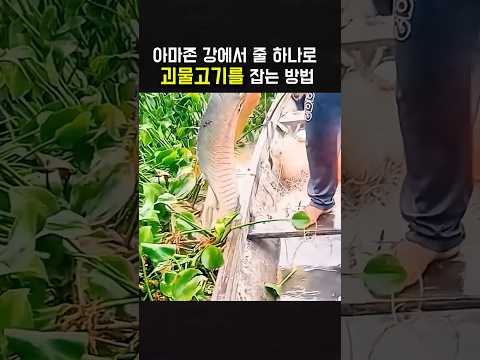 작은 보트 위에서 펼쳐진 믿기 힘든 생존 낚시 thumbnail