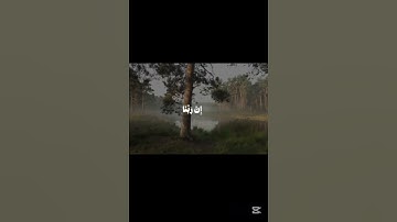 اجر لي ولكم اكتب شيء تؤجر عليه #قران كريم