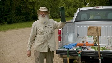 Wild Parsnip Identification and Mitigation