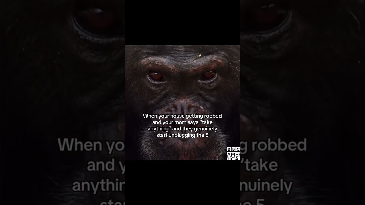 Да Синко не покинет это место.