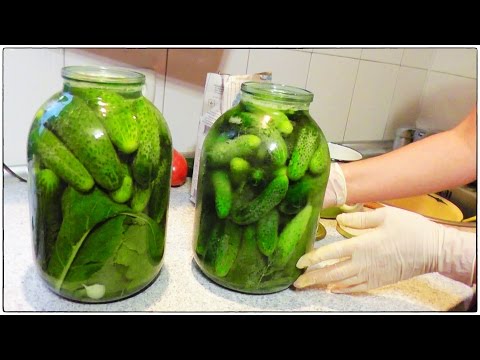 Консервация огурцов БЕЗ УКСУСА /Закатываем  Способом Брожения