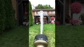 This Is What Happens When We Are Bored