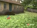 Idukki Bonami Estate closing condition