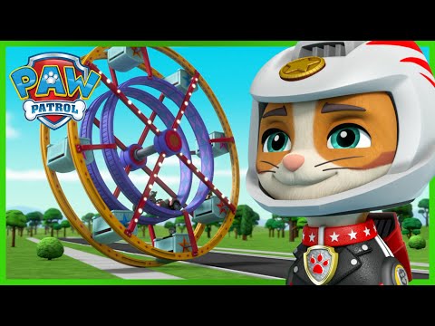PAW PATROL - MOTO PUPS AND WILD CAT STOP AN OUT OF CONTROL FERRIS WHEEL!