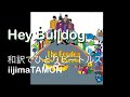 Hey Bulldog/和訳でひとりビートルズ  Beatles in Japanese