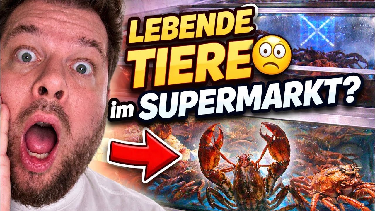 😳 DAS ist normal in Spanien?! Lebende Tiere in der Supermarkt-Fischtheke!