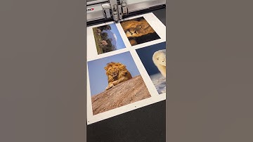 What You Need to Know About Giclee Prints : What is a Giclee Art Print?