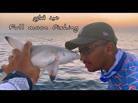 رحلة صيد على ضوء القمر    