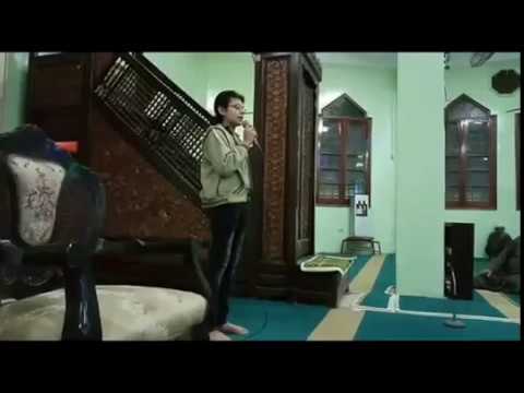 المنشد سعد أحمد سعد ذكرى المولد النبوى الشريف