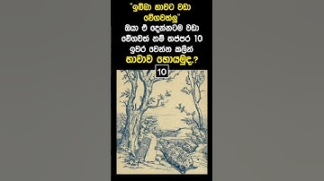 Can You See the Rabbit on the Shore in Just 10 Seconds? 🐇😉 | #shorts #viral #fyp #opticalillusion