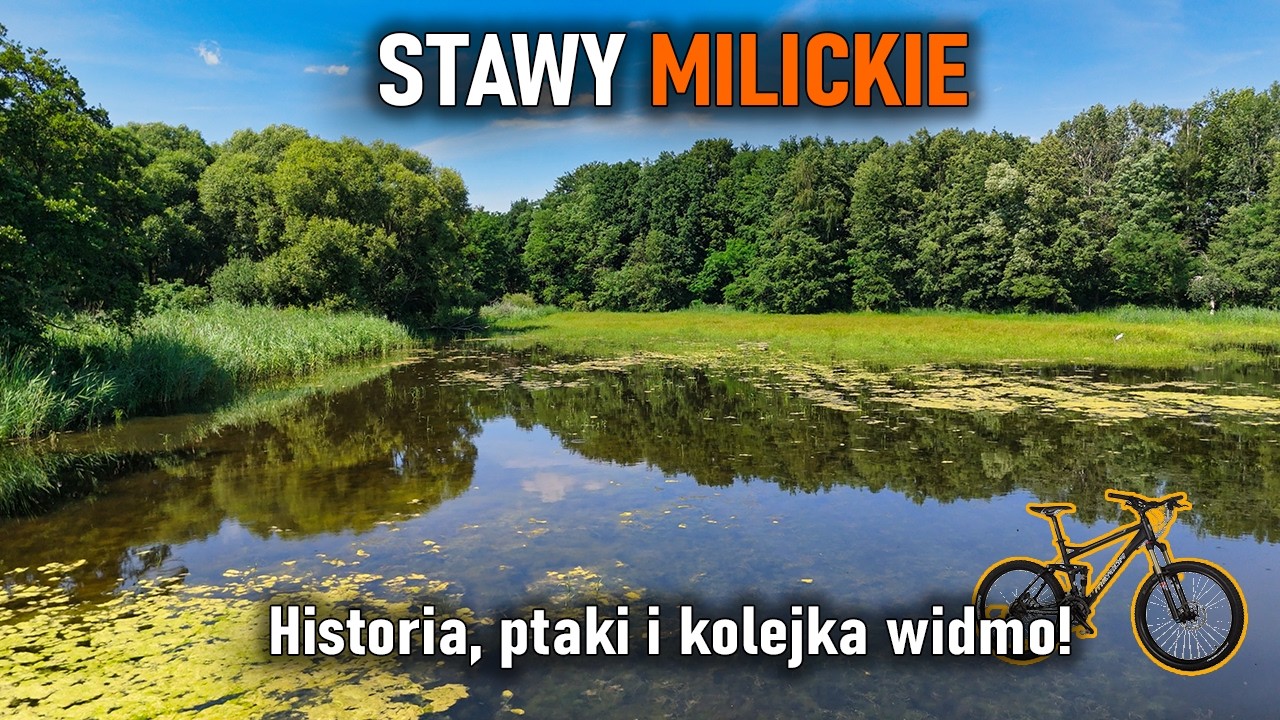 Rowerem przez Dolinę Baryczy – tajemnice stawów i dawnej kolejki. Stawy Milickie na Dolnym Śląsku