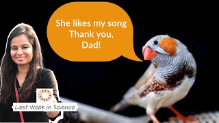 Python in your plate, how zebra finch choose mate, & invisibility cloak | LWnS 24 March 2024 Net Worth