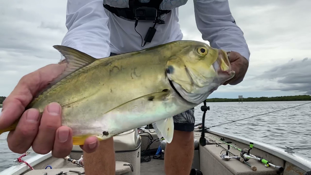 Trolling for big fish on the Peace River in Punta Gorda Florida YouTube