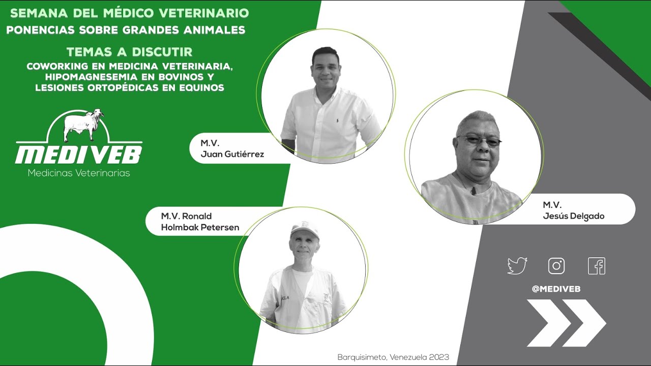 Hipomagnesemia bovina Jesus  Delgado