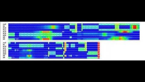 multiple sequence alignment using pairwise comparisons (sequence annealing)