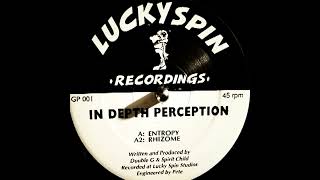 In Depth Perception – Rhizome