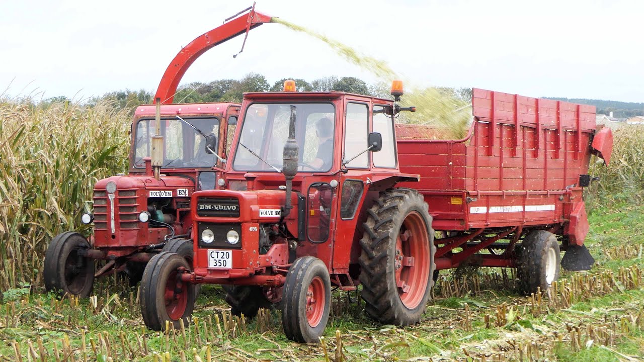 Mais Silage 2023 | Volvo BM 350 Boxer chopping corn with 1-Row Taarup Forage Harvester