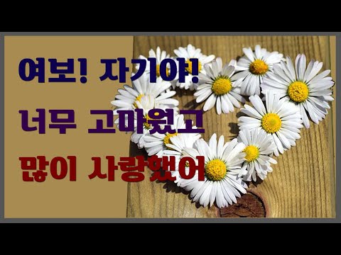 [하늘로 보내는 편지]여보! 자기야! 너무 고마웠고 많이 사랑했어.