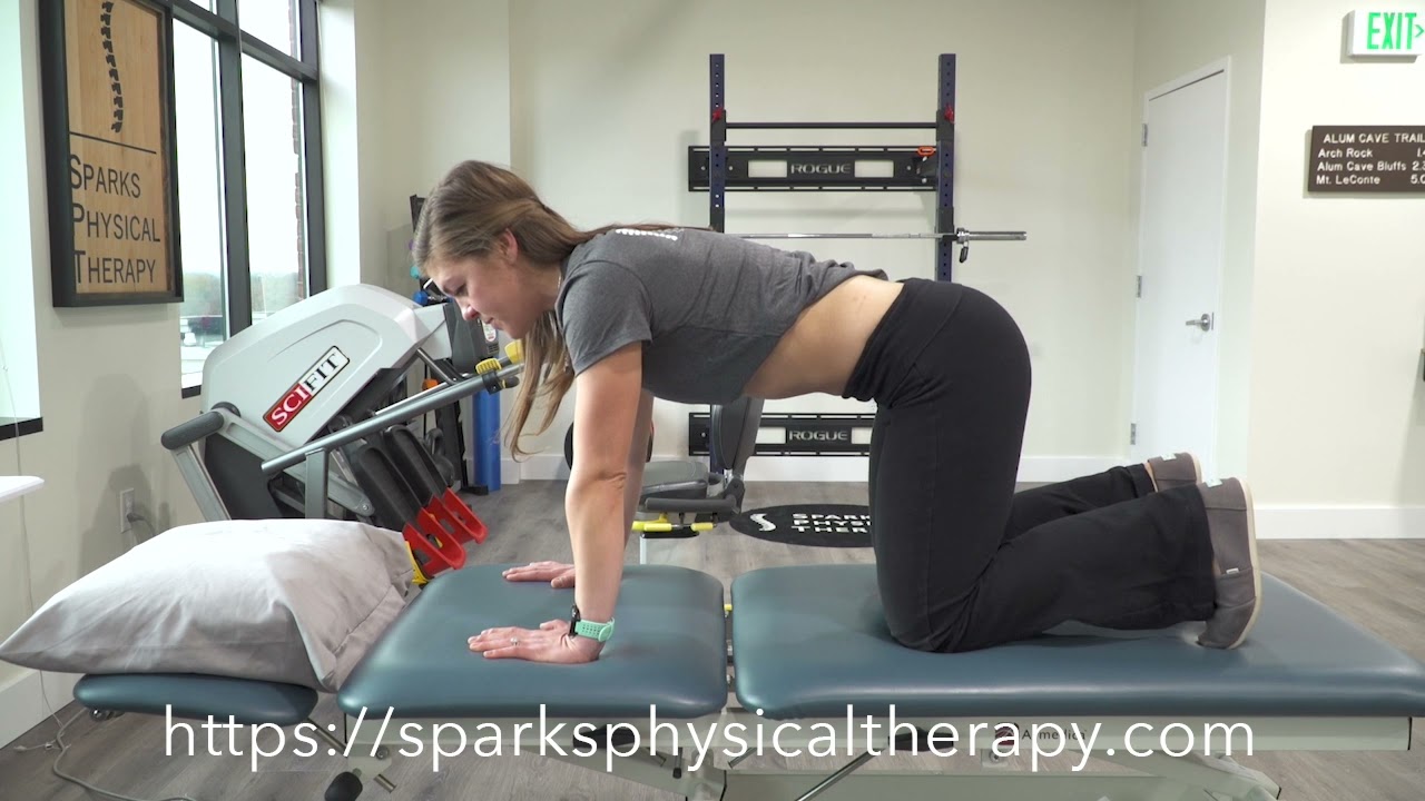 Running Bear Plank- Sparks Physical Therapy