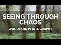 Woodland photography  seeing through chaos