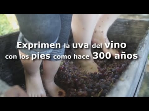 Video: Cómo Exprimir Las Uvas