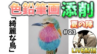 色鉛筆画イラスト添削LIVE#23 綺麗な鳥