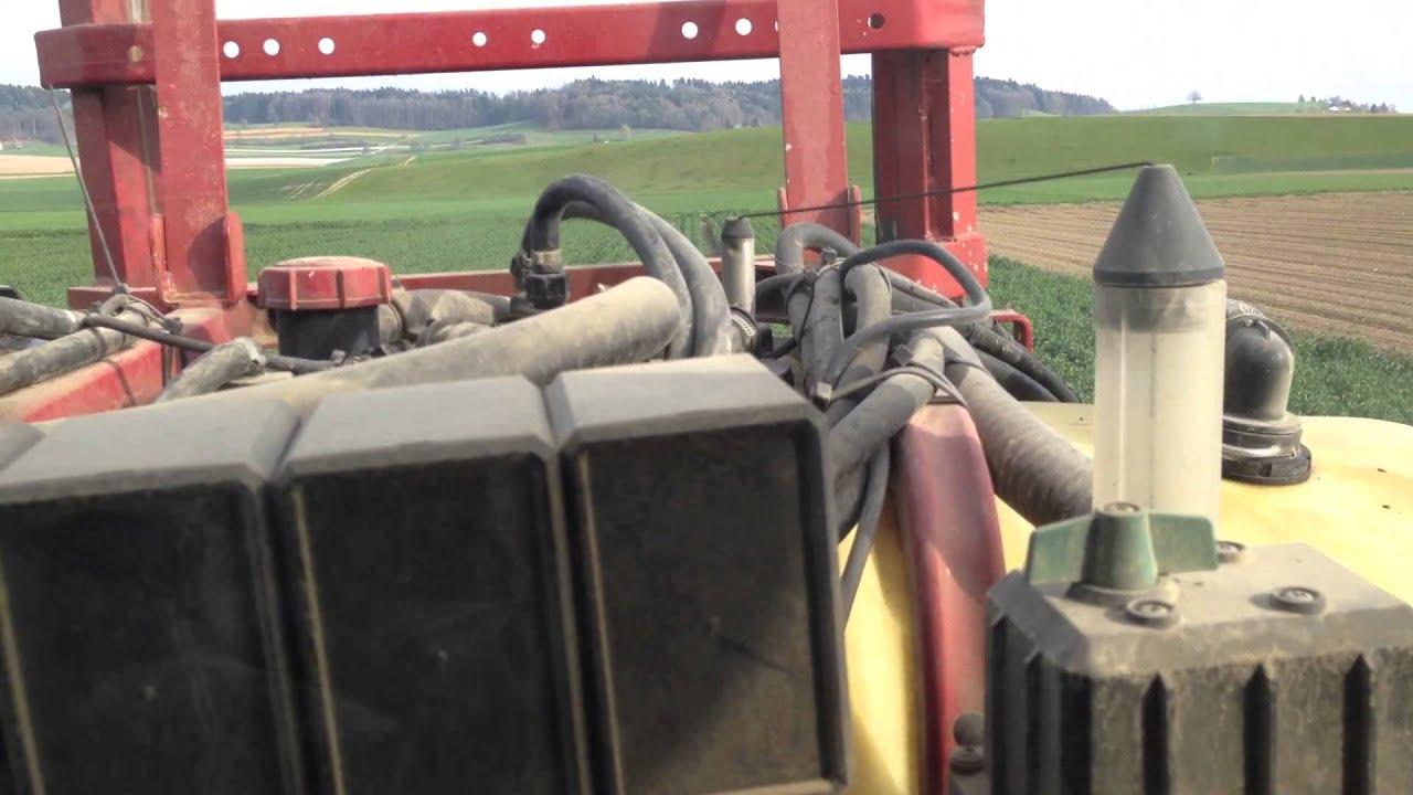 Raps gegen Glanzkäfer spritzen