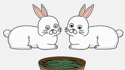 brain out 2 level 202