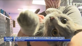 18 adopted at Onslow Co. Animal Shelter over the holidays