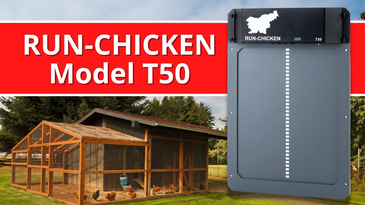 RUN CHICKEN Model T50 YouTube