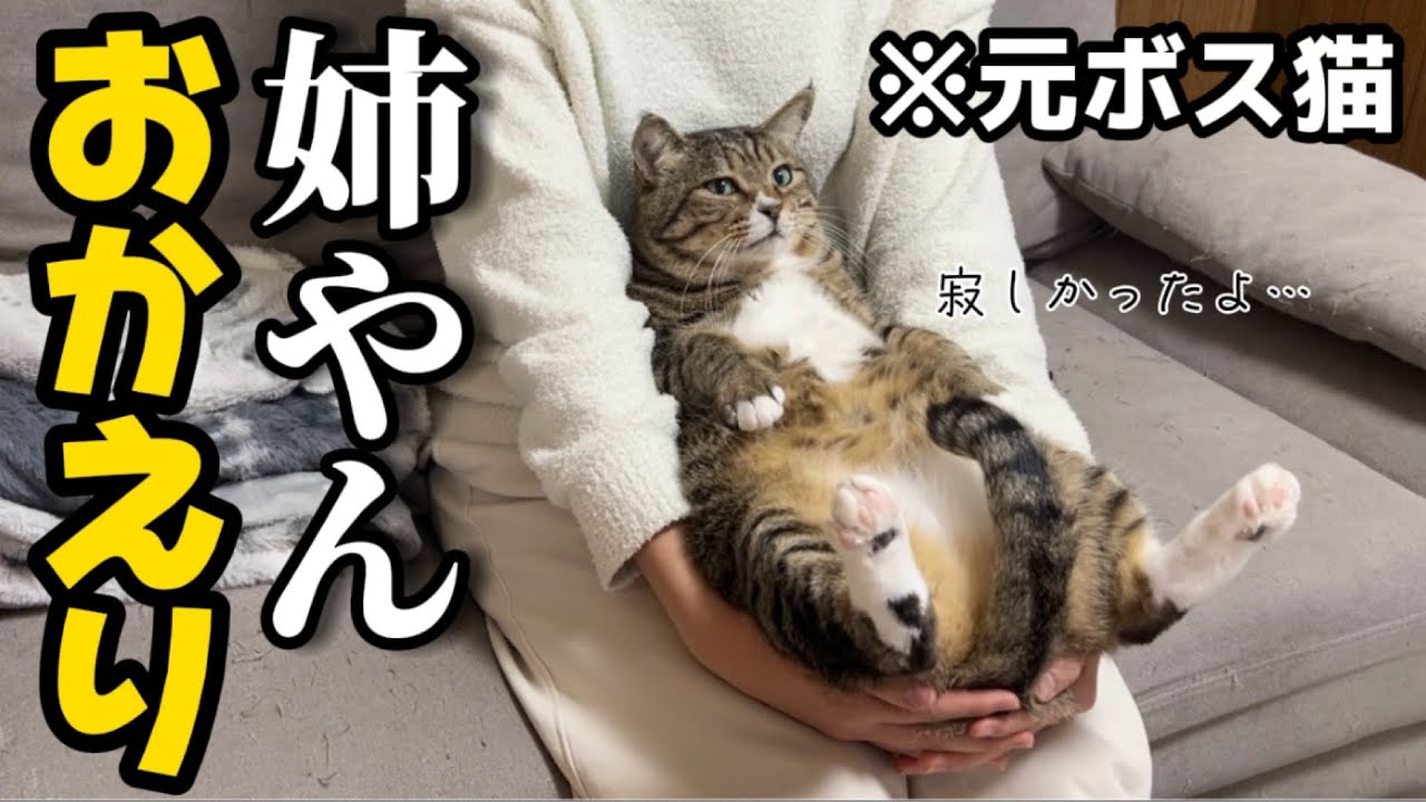 23歳一人暮らし。2日ぶりの姉やんに甘えたいけどやっぱり強め女子に