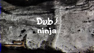 Dub Ninja VIII: Hypnotic / Outsider Dub Techno Mix